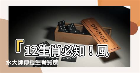 2023屬牛買房|2023年12生肖買房運勢曝！命理師大推：「這2類人」。